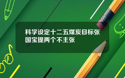 科学设定十二五煤炭目标张国宝提两个不主张