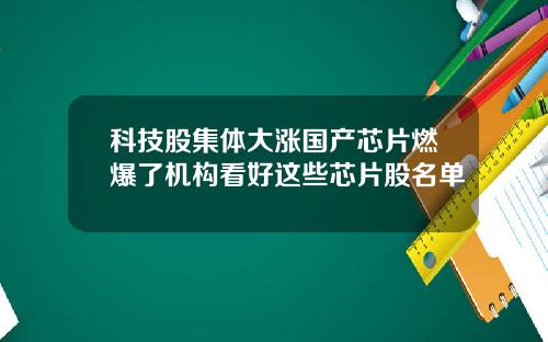 科技股集体大涨国产芯片燃爆了机构看好这些芯片股名单