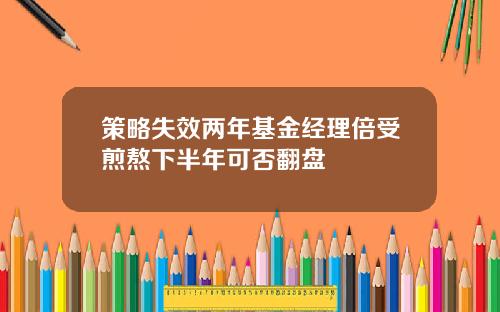 策略失效两年基金经理倍受煎熬下半年可否翻盘