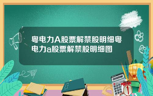 粤电力A股票解禁股明细粤电力a股票解禁股明细图