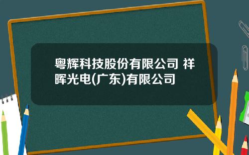 粤辉科技股份有限公司 祥晖光电(广东)有限公司