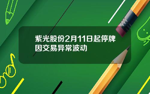 紫光股份2月11日起停牌因交易异常波动