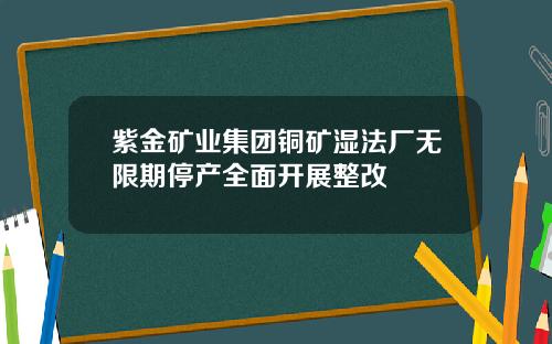 紫金矿业集团铜矿湿法厂无限期停产全面开展整改