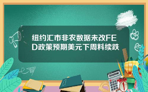纽约汇市非农数据未改FED政策预期美元下周料续跌