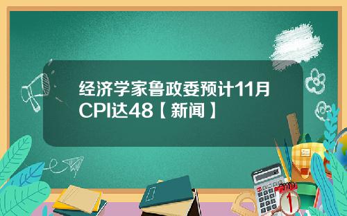 经济学家鲁政委预计11月CPI达48【新闻】