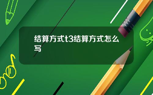 结算方式t3结算方式怎么写