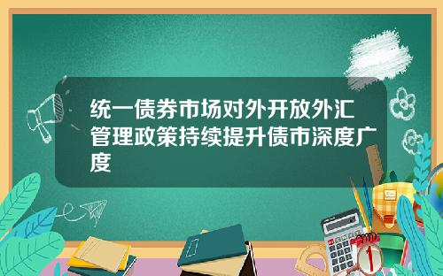 统一债券市场对外开放外汇管理政策持续提升债市深度广度