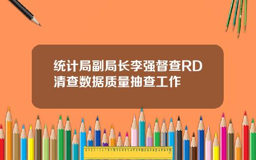 统计局副局长李强督查RD清查数据质量抽查工作