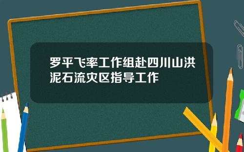 罗平飞率工作组赴四川山洪泥石流灾区指导工作
