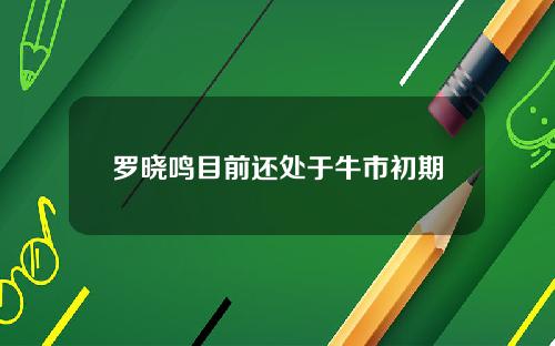 罗晓鸣目前还处于牛市初期