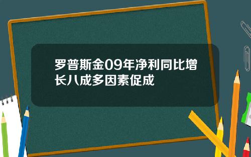 罗普斯金09年净利同比增长八成多因素促成