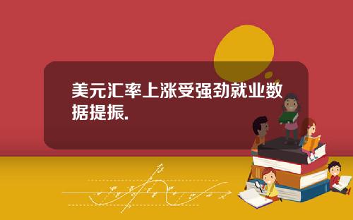 美元汇率上涨受强劲就业数据提振.