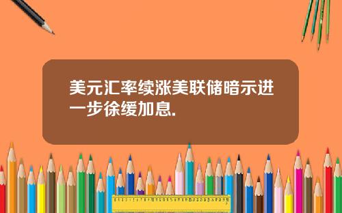 美元汇率续涨美联储暗示进一步徐缓加息.