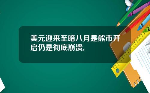 美元迎来至暗八月是熊市开启仍是彻底崩溃.