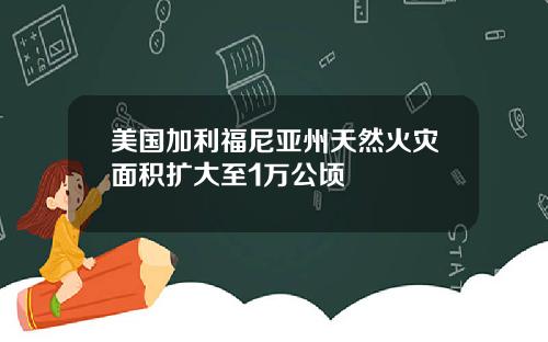 美国加利福尼亚州天然火灾面积扩大至1万公顷