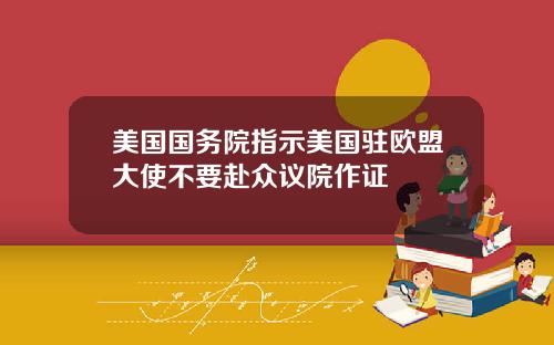 美国国务院指示美国驻欧盟大使不要赴众议院作证