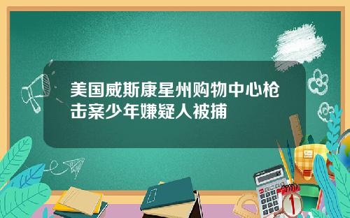 美国威斯康星州购物中心枪击案少年嫌疑人被捕