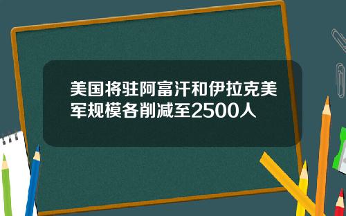 美国将驻阿富汗和伊拉克美军规模各削减至2500人
