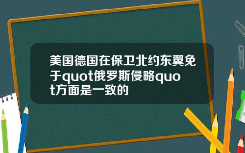 美国德国在保卫北约东翼免于quot俄罗斯侵略quot方面是一致的