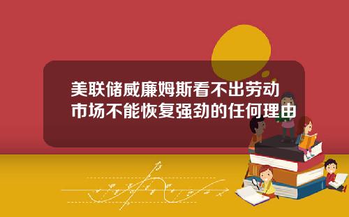 美联储威廉姆斯看不出劳动市场不能恢复强劲的任何理由