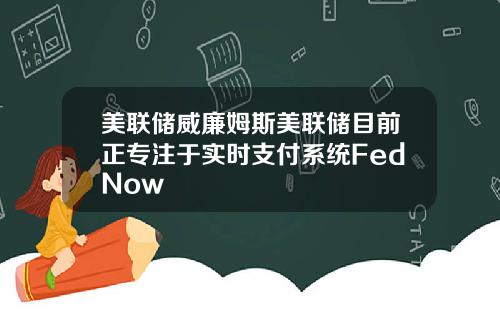 美联储威廉姆斯美联储目前正专注于实时支付系统FedNow