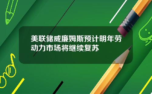 美联储威廉姆斯预计明年劳动力市场将继续复苏