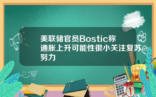 美联储官员Bostic称通胀上升可能性很小关注复苏努力