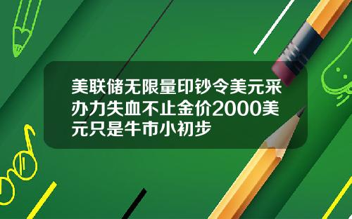 美联储无限量印钞令美元采办力失血不止金价2000美元只是牛市小初步