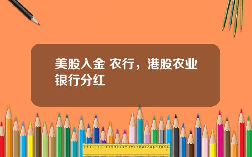 美股入金 农行，港股农业银行分红