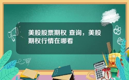 美股股票期权 查询，美股期权行情在哪看