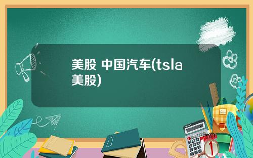 美股 中国汽车(tsla美股)