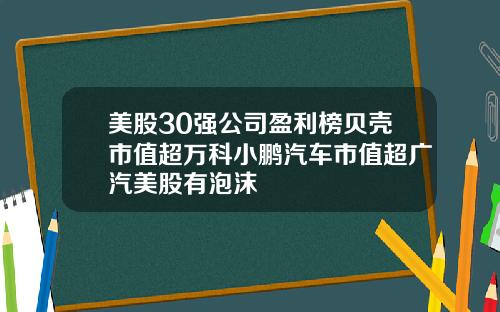 美股30强公司盈利榜贝壳市值超万科小鹏汽车市值超广汽美股有泡沫