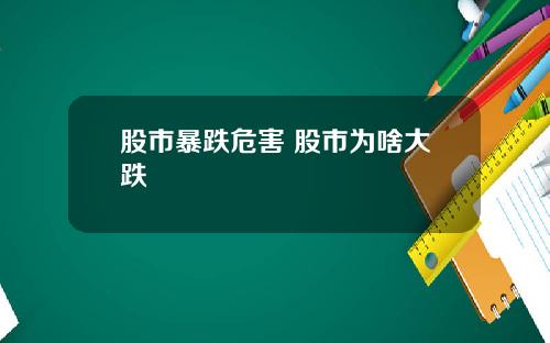 股市暴跌危害 股市为啥大跌
