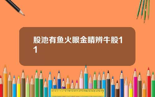 股池有鱼火眼金睛辨牛股11
