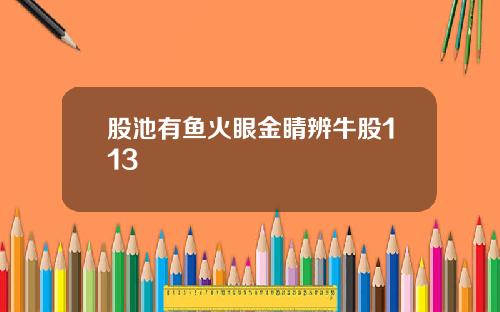 股池有鱼火眼金睛辨牛股113