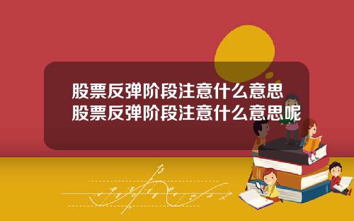 股票反弹阶段注意什么意思股票反弹阶段注意什么意思呢