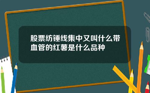 股票纺锤线集中又叫什么带血管的红薯是什么品种