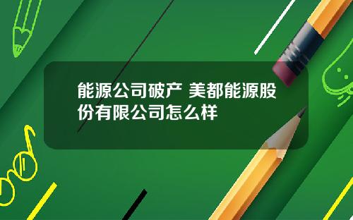 能源公司破产 美都能源股份有限公司怎么样