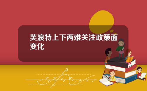 芙浪特上下两难关注政策面变化