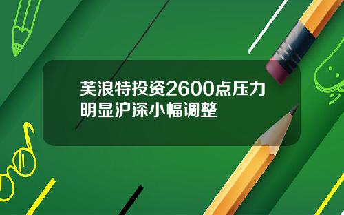 芙浪特投资2600点压力明显沪深小幅调整