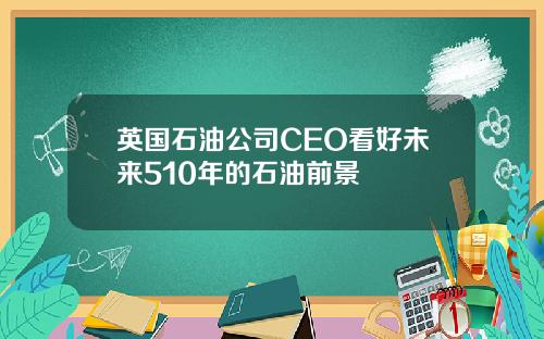 英国石油公司CEO看好未来510年的石油前景