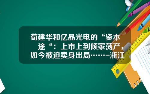 荀建华和亿晶光电的“资本囧途“：上市上到倾家荡产，如今被迫卖身出局……-浙江海通食品集团有限公司