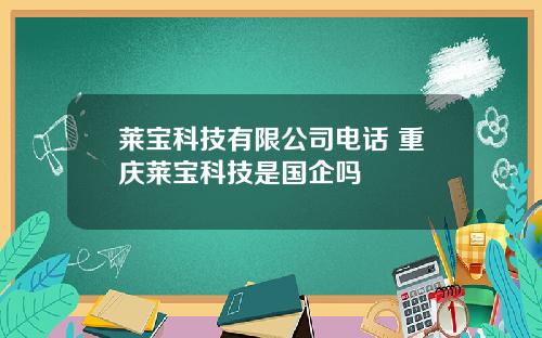 莱宝科技有限公司电话 重庆莱宝科技是国企吗