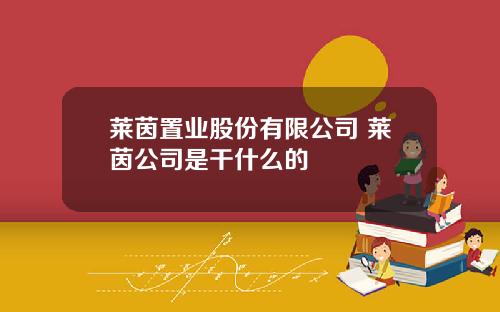 莱茵置业股份有限公司 莱茵公司是干什么的