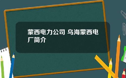 蒙西电力公司 乌海蒙西电厂简介
