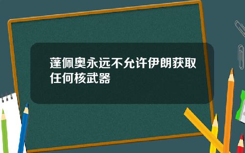 蓬佩奥永远不允许伊朗获取任何核武器