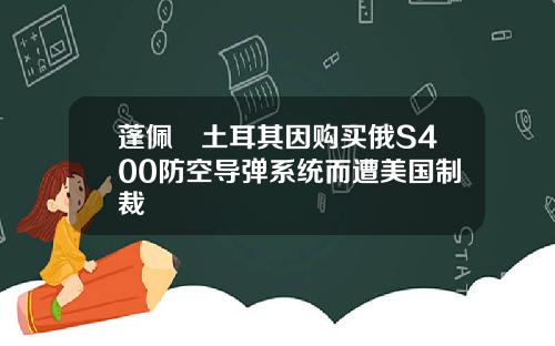 蓬佩奧土耳其因购买俄S400防空导弹系统而遭美国制裁