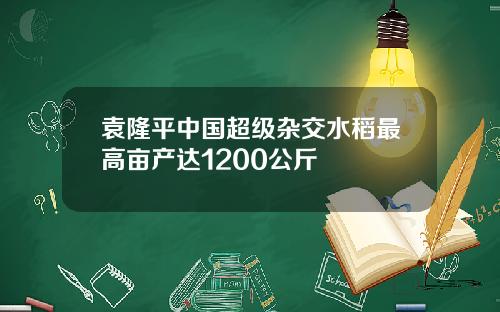 袁隆平中国超级杂交水稻最高亩产达1200公斤