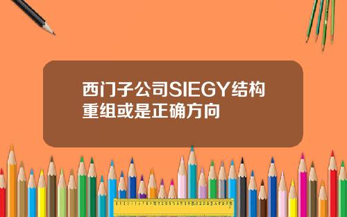 西门子公司SIEGY结构重组或是正确方向