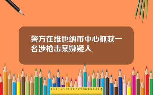 警方在维也纳市中心抓获一名涉枪击案嫌疑人